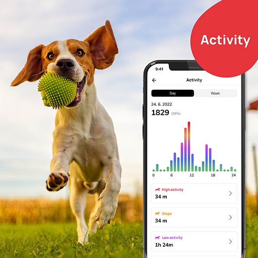 Track your buddy´s every step without limitation